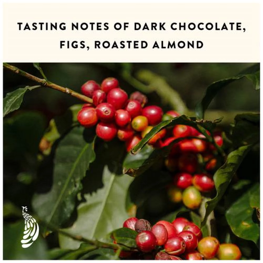 Blue Tokai Coffee Roasters - Medium-Dark Attikan Estate, 250 g Pouch-8.webp